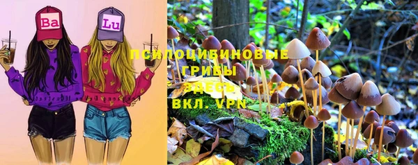 Альфа ПВП Богданович