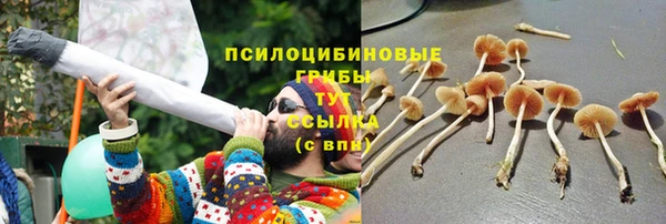 мяу мяу мука Богородск